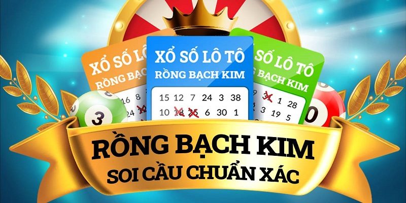 Bình tĩnh khi tham gia Rồng bạch kim