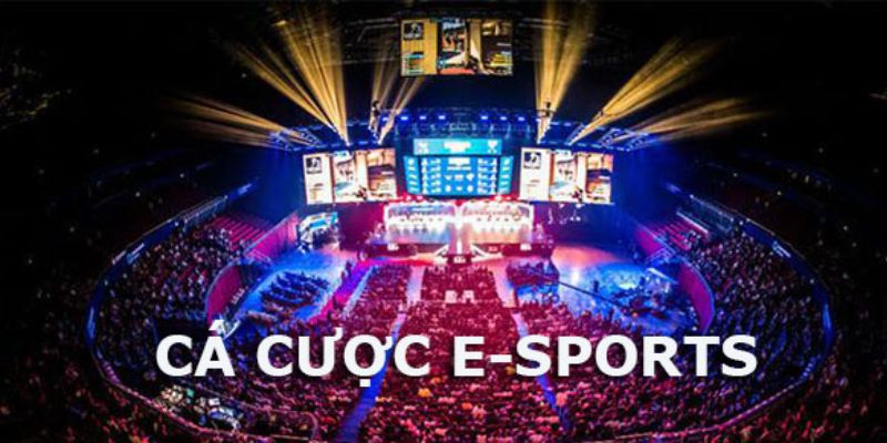 Trang Cá Cược Esports